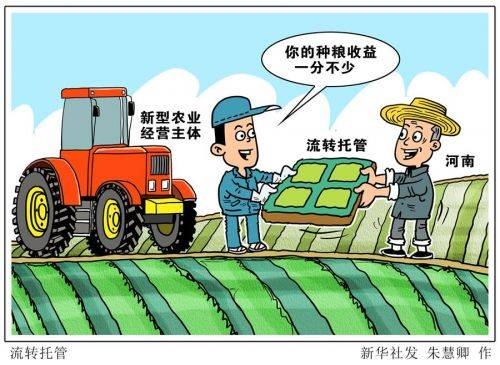 农业365课堂免费视频，种地这事儿，真能跟着视频学？我试了一个月，说点大实话